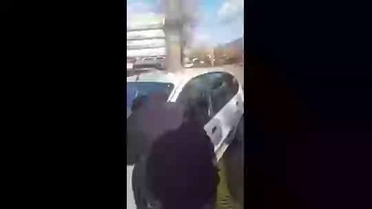 Confusion Tree Inside The Car