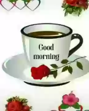 Good Morning Status For Whatsapp Good Morning Wish