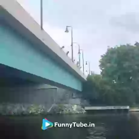 Cracked Down By The Low Of Physics