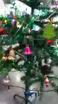 Merry Christmas Whatsapp Status