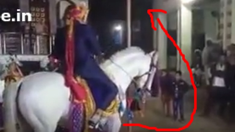 Horse Flee With Unlicky Dulha Funny Wedding Fail Video