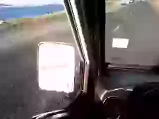 A Big Salute To This Dog