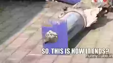 A Pussy Stuck In a Lead Pipe