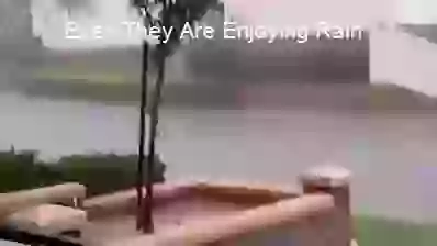 Aaj Mausam Bada Baiman Funny