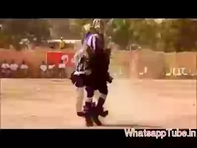 African funny dance
