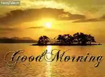 Amazing Animated Good Morning GIF Status