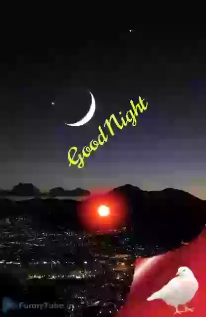 Amazing Animated Good Night Status GIF