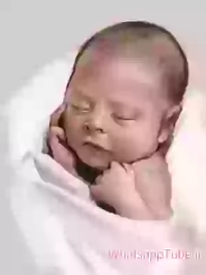 Amazing Computer Painting Art Technique