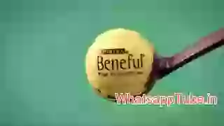 Amazing Doggy Sequance