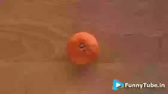 Amazing Food Cutting Art