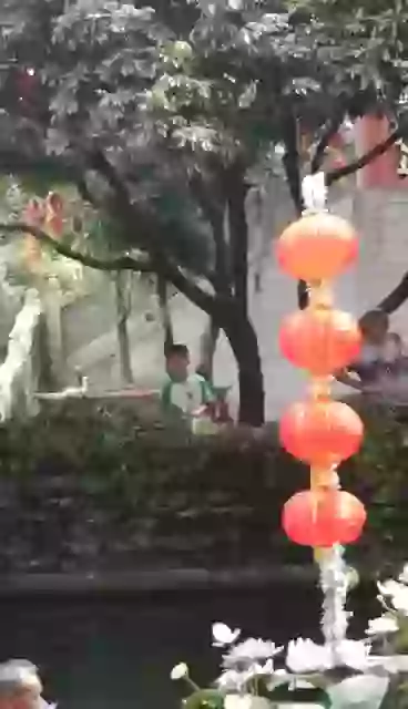 Amazing Japanese Show In River