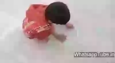 Amazing Little Artist Drawing Cow