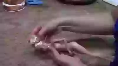 Amazing Making Barbey Doll Cake