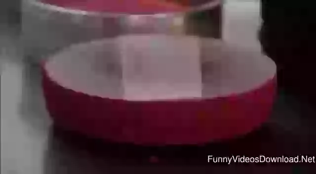 Amazing Making Of Melon Cake