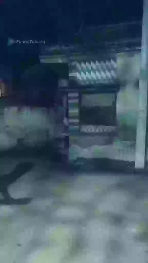 Amazing Musician Funny Desi Boy Selfie Status Video