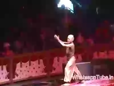 Amazing circus ever seen