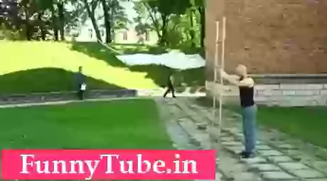 Amazing ladder Acrobat GIF