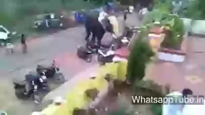 An elephant angry on vehicles