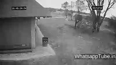 An to janwar bhi samj gaye aur aap