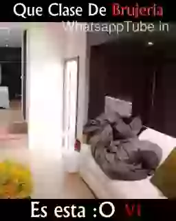 Another Crazy Video FX Funny