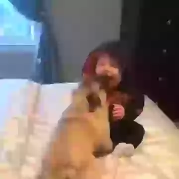 Baby gunny moments with dog