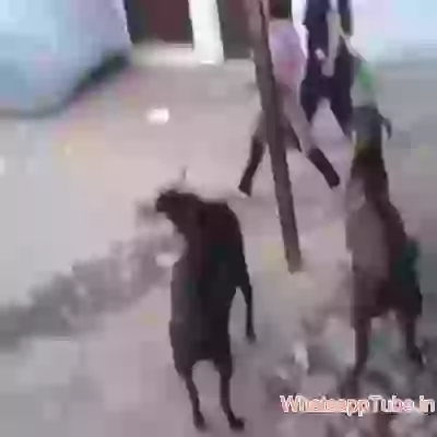 Bachke Rahena Bakra Idhare Hai