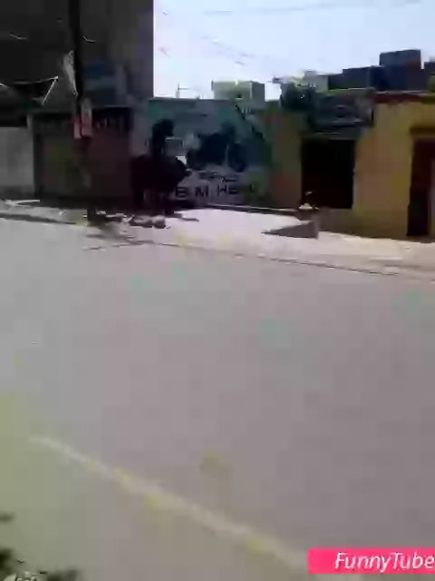 Me Vs Life Funny GIF video