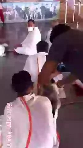 Bandar Mandir Ke Andar