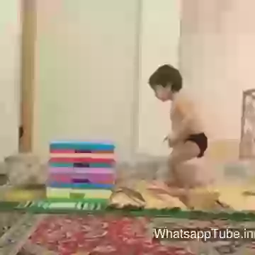 Bandar hai ki baccha hai yeh