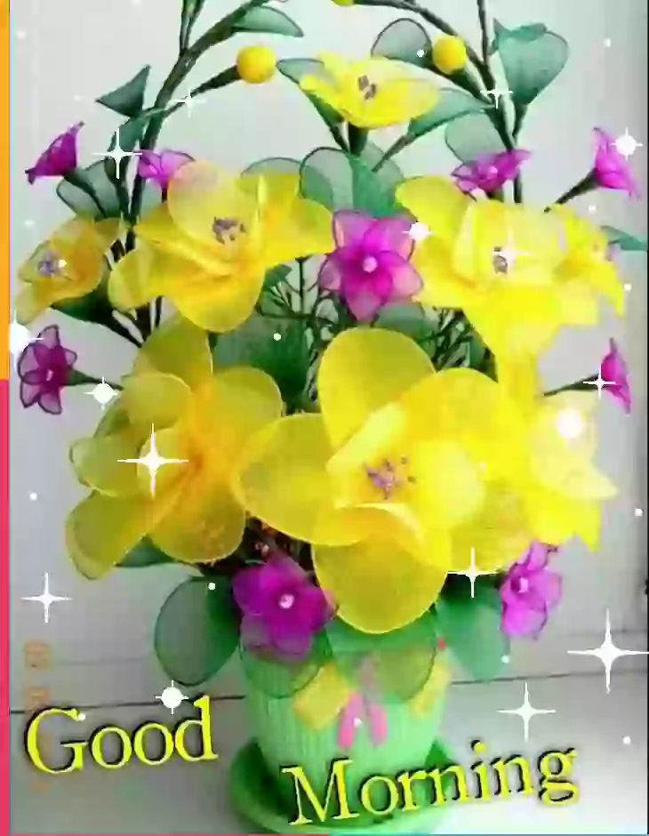 Beautiful Animated Good Morning WhatsappVideo