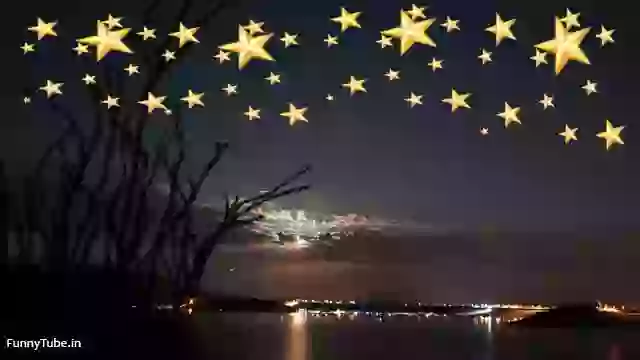 Beautiful Animated Good Night Status Video