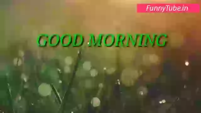 Beautiful Good Morning Wish Video For Whatsapp