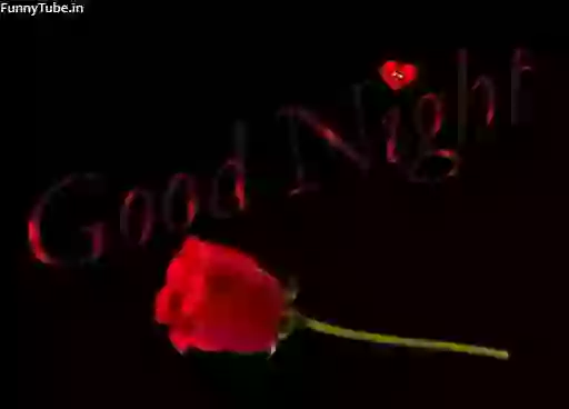 Beautiful Good Night Whatsapp GIF