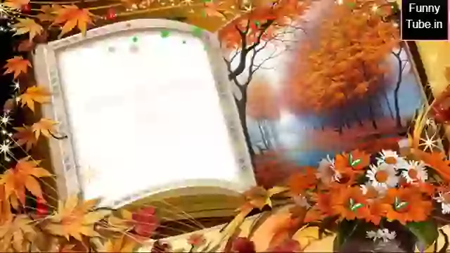 Beautiful Good Night Wish Video In Hindi Quotes