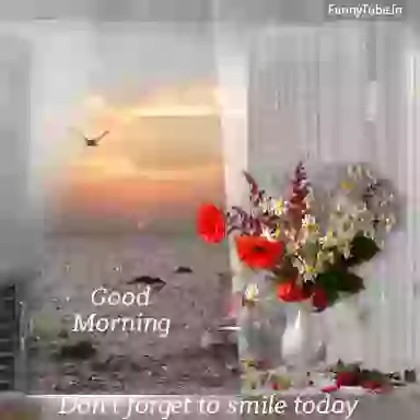 Best Good Morning Whatsapp GIF Status Video