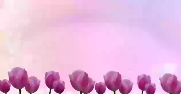 Best Good Morning Whatsapp Video 2019