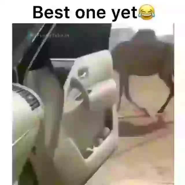 Girl Switch Trick Funny Trick Video