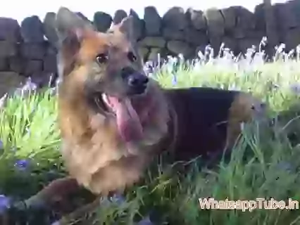 Best Zoom Ever You Seen