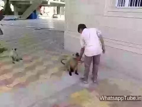 Bhai Kahi Aur Dum Dikha Abol Jiv Ko Mat Mar