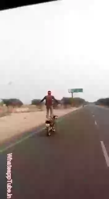 Bike driving amazing must watch