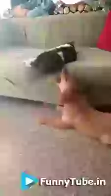 Funniest Hair Cutting Ever Must Watch