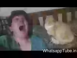 Cat Imitating Guy Funny