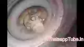 Cat cannot find mouse