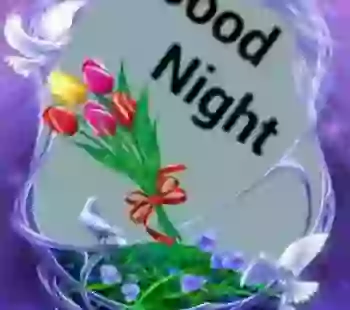 Chand Ki Chandani Beautiful Good Night Status