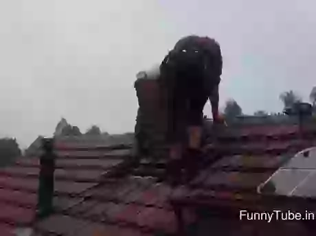 Check Something Went Wrong GIF