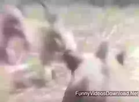 Check out New Bike Launched