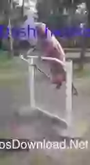 Childhood Is Back For Dadi