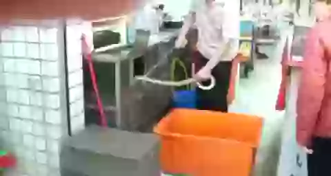 Chinatown Cooking Snake