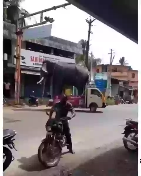 Chotal Haathi Pe Bada Haathi Dekha Hai Kabhi