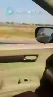 Chotila To Rajkot Gujju Bike Stunt